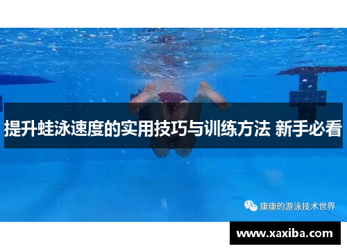 提升蛙泳速度的实用技巧与训练方法 新手必看