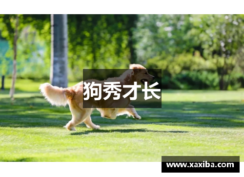 狗秀才长