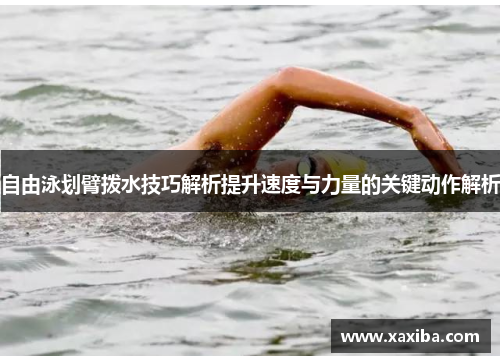 自由泳划臂拨水技巧解析提升速度与力量的关键动作解析
