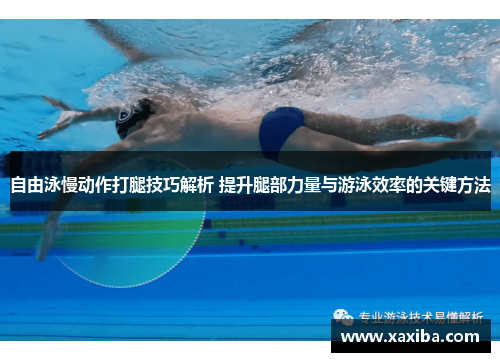 自由泳慢动作打腿技巧解析 提升腿部力量与游泳效率的关键方法