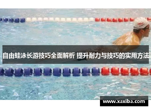自由蛙泳长游技巧全面解析 提升耐力与技巧的实用方法