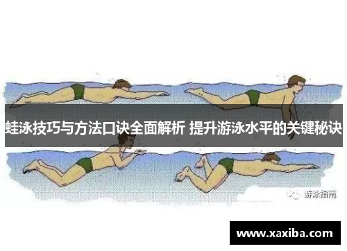蛙泳技巧与方法口诀全面解析 提升游泳水平的关键秘诀