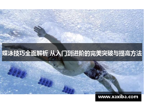 蝶泳技巧全面解析 从入门到进阶的完美突破与提高方法